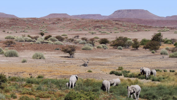 Tag 9: Welch toller Anblick. Dafür macht man gerne einen kleinen Umweg.