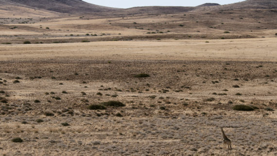 Tag 10: Tagesmission abgehakt. Zurück zum Camp.